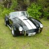 1967-COBRA-GRIGGS-022
