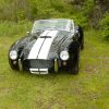 1967-COBRA-GRIGGS-023