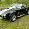 1967-COBRA-GRIGGS-024