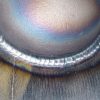DSC01367